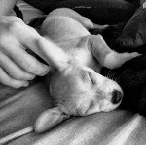 Meet your Posher, Jeff